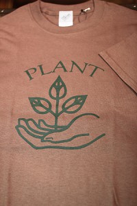 ct021-018-plant