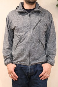 pc3601-020-ash