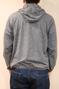 pc3601-020-ash
